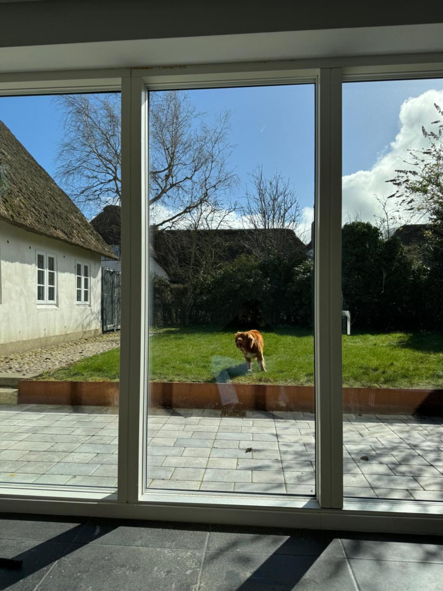 Apartamento Kapitaenshaus Von 1712 - Neu Saniert Nieblum Exterior foto