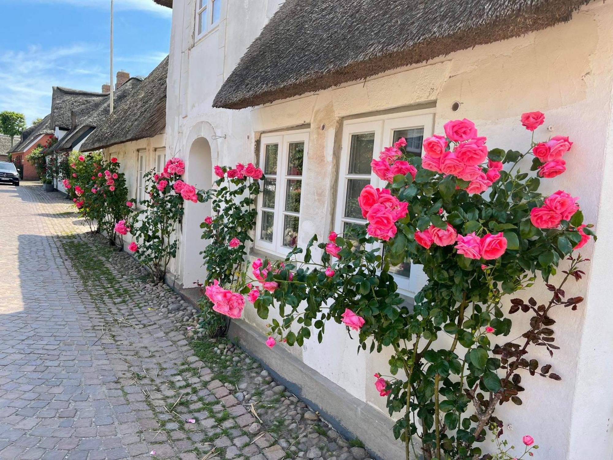 Apartamento Kapitaenshaus Von 1712 - Neu Saniert Nieblum Exterior foto